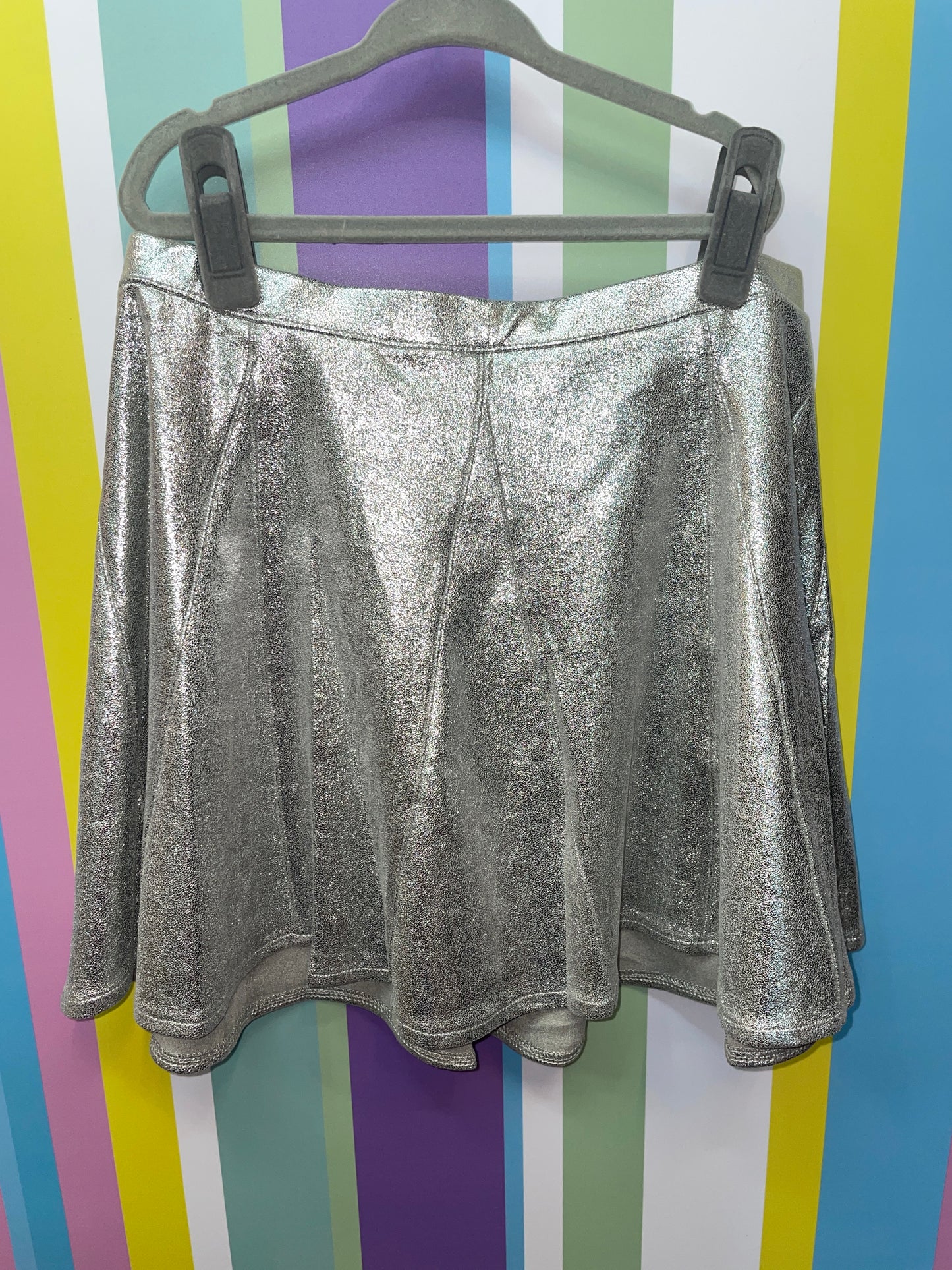 Silver Skirt Silver