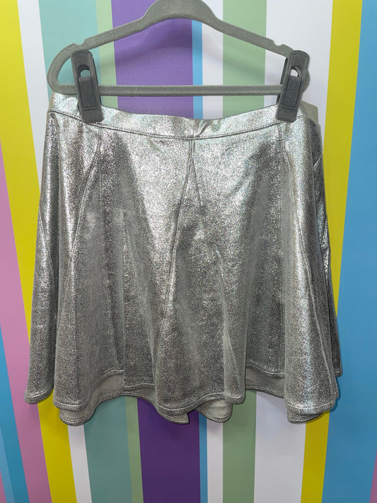 Silver Skirt Silver