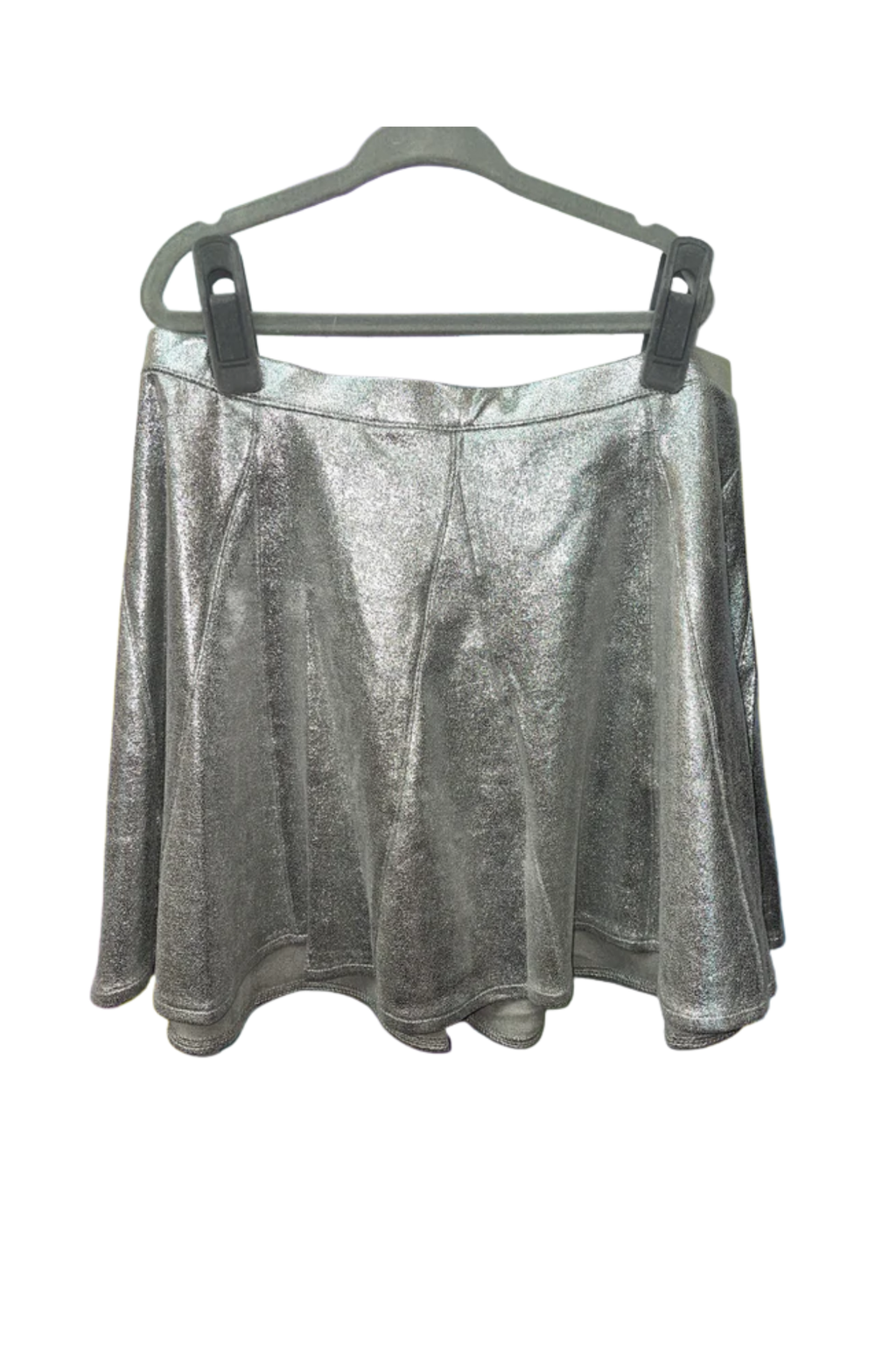 Silver Skirt Silver