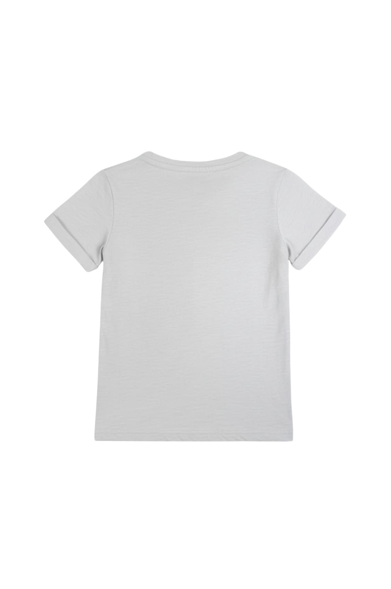 Day Trip T-Shirt Light Grey